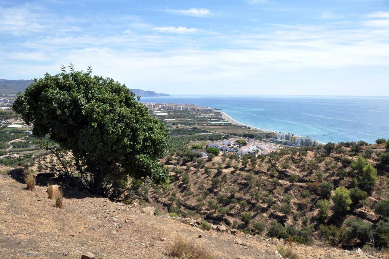 Nerja Paradise Rentals - Villa Los Girasoles 外观 照片